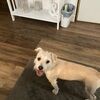 pamelabeatty3